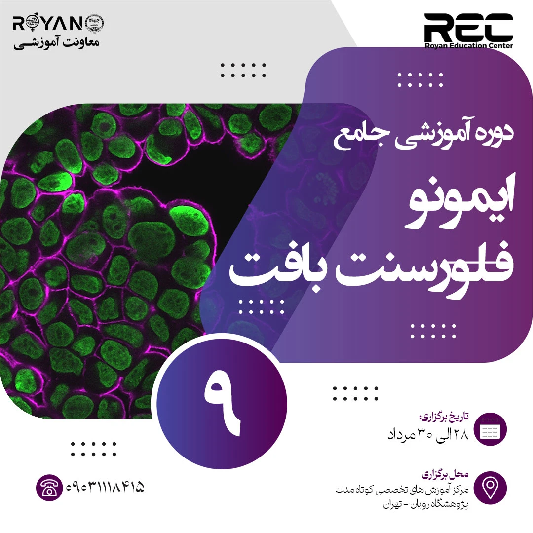 ایمونوفلورسنت بافت جامع 9
